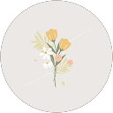 Angelin Zefanya profile picture